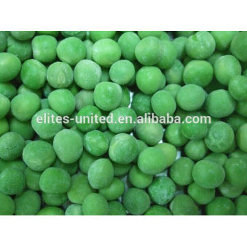 Cultivation IQF frozen green pea